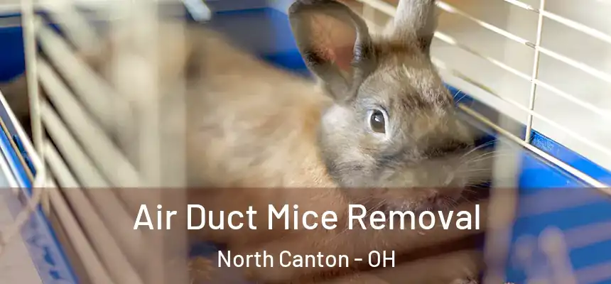 Air Duct Mice Removal North Canton - OH