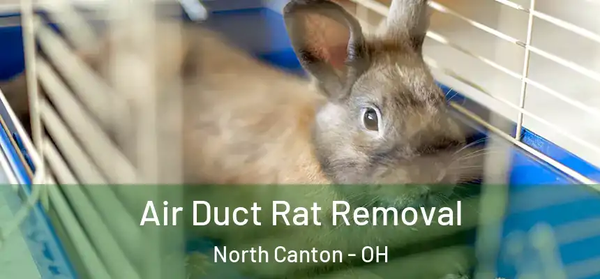 Air Duct Rat Removal North Canton - OH