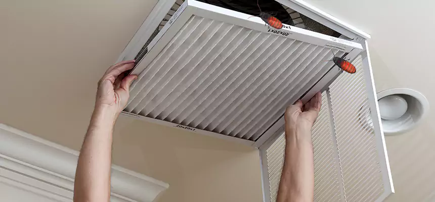 Preventive Cockroach-Proofing for Ducts in North Canton
