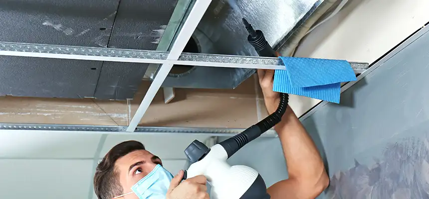 Our Air Duct Rodent Removal Services in North Canton, OH