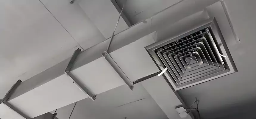 Our Rodent Droppings In Vents Services in North Canton, OH