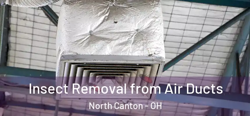 Insect Removal from Air Ducts North Canton - OH