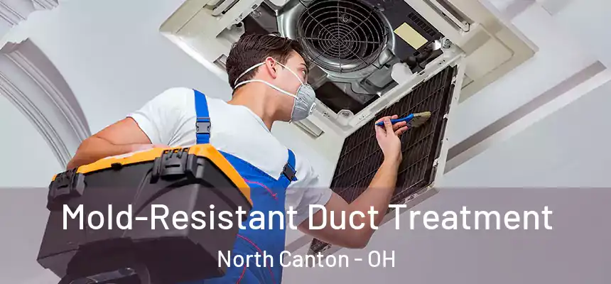 Mold-Resistant Duct Treatment North Canton - OH