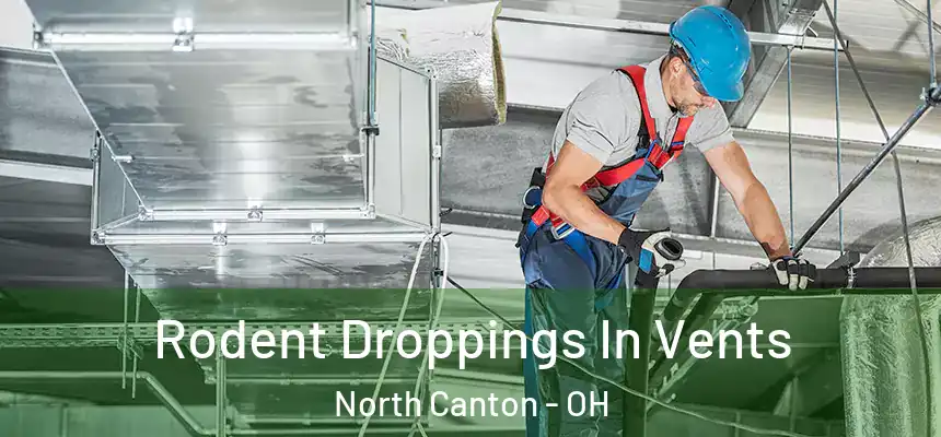  Rodent Droppings In Vents North Canton - OH