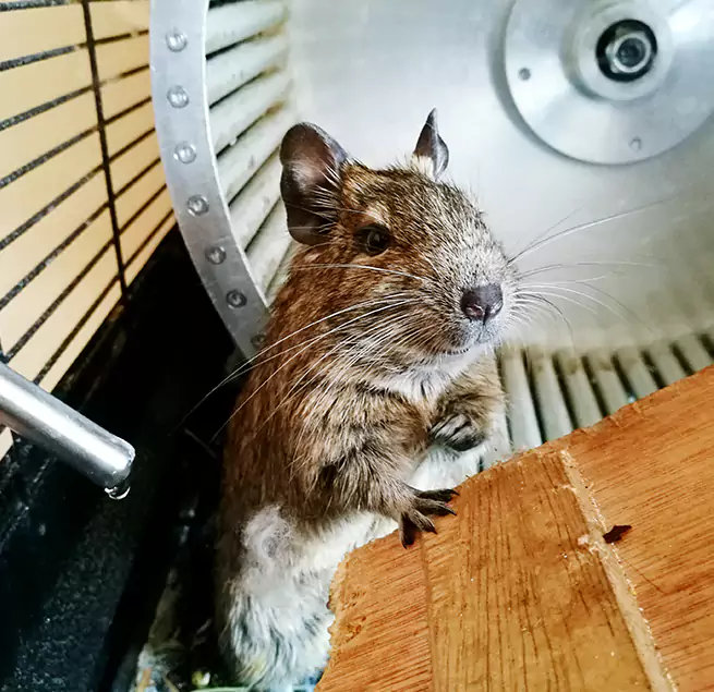 Why Homeowners & Businesses Trust Us North Canton, OH